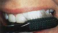 brush at a 45-degree angle against the gums